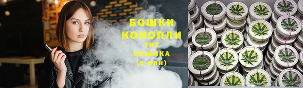 бошки Алексин