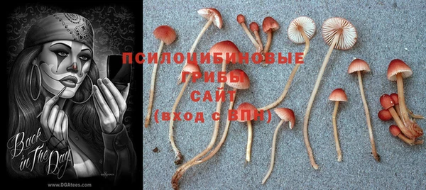 бошки Алексин