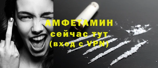 молекула духа Алексеевка