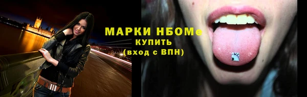 PSILOCYBIN Алзамай