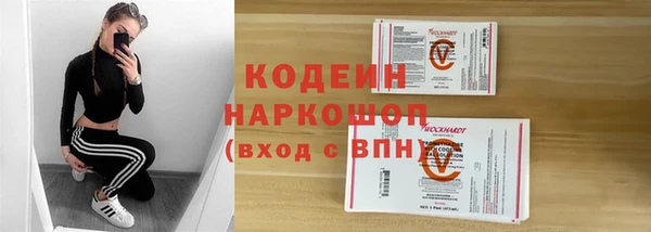 PSILOCYBIN Алзамай