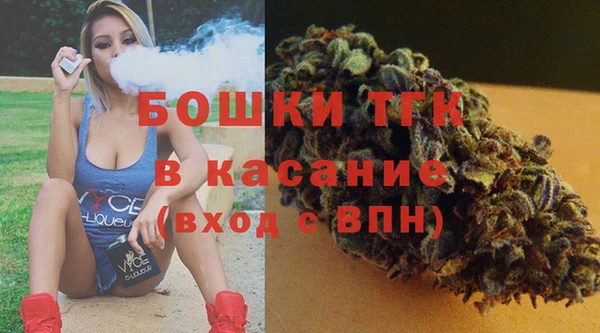 молекула духа Алексеевка