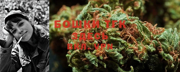 молекула духа Алексеевка