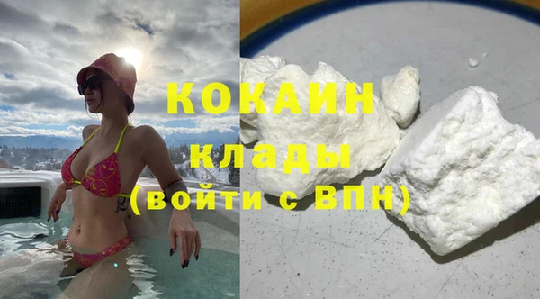 PSILOCYBIN Алзамай