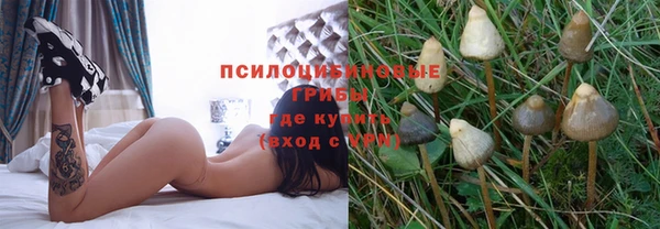 PSILOCYBIN Алзамай