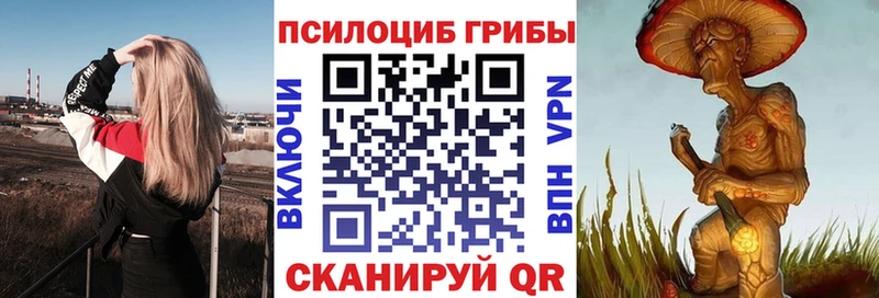 Галлюциногенные грибы Magic Shrooms  Троицк 